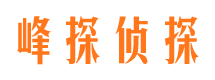 水城市私家侦探